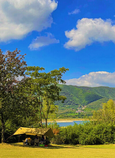 日常
冷翠摇清空