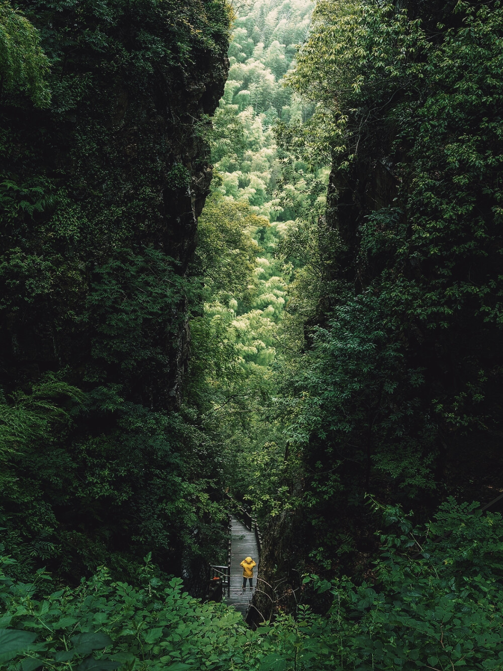 日常
冷翠摇清空