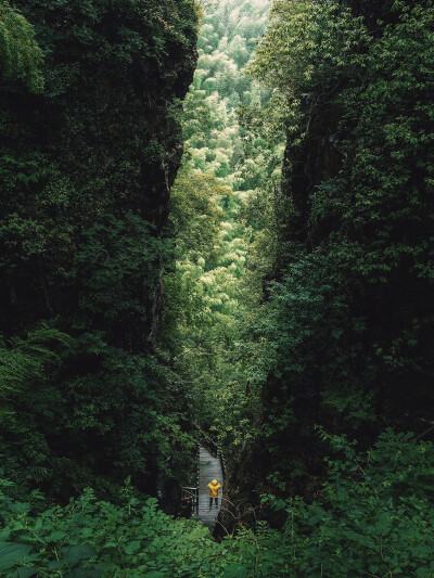 日常
冷翠摇清空