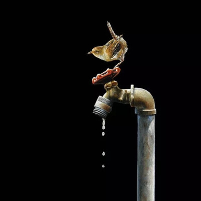 Karen Hollingsworth
看到这个名字有没有很熟悉
还记得那清风拂过
卷起白色的窗帷吗
今天，展现的是另一种风格的作品
与上一次是完全不同的风格
多才多艺就是好
