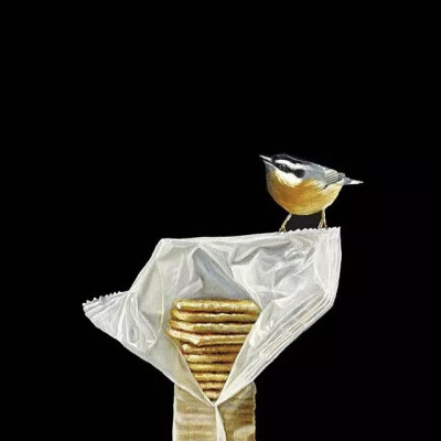 Karen Hollingsworth
看到这个名字有没有很熟悉
还记得那清风拂过
卷起白色的窗帷吗
今天，展现的是另一种风格的作品
与上一次是完全不同的风格
多才多艺就是好
