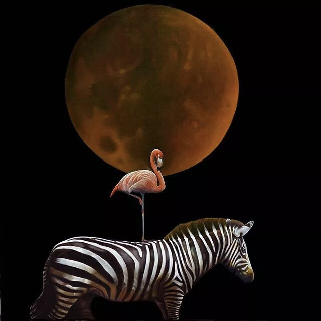 Karen Hollingsworth
看到这个名字有没有很熟悉
还记得那清风拂过
卷起白色的窗帷吗
今天，展现的是另一种风格的作品
与上一次是完全不同的风格
多才多艺就是好
