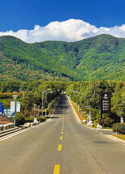 日常
冷翠摇清空