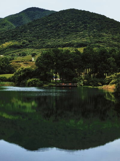 日常
冷翠摇清空