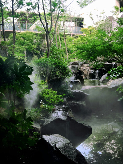 日常
冷翠摇清空