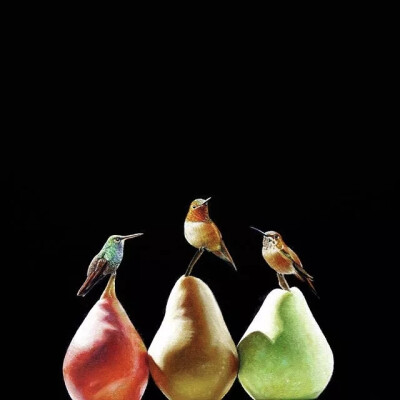 Karen Hollingsworth
看到这个名字有没有很熟悉
还记得那清风拂过
卷起白色的窗帷吗
今天，展现的是另一种风格的作品
与上一次是完全不同的风格
多才多艺就是好
