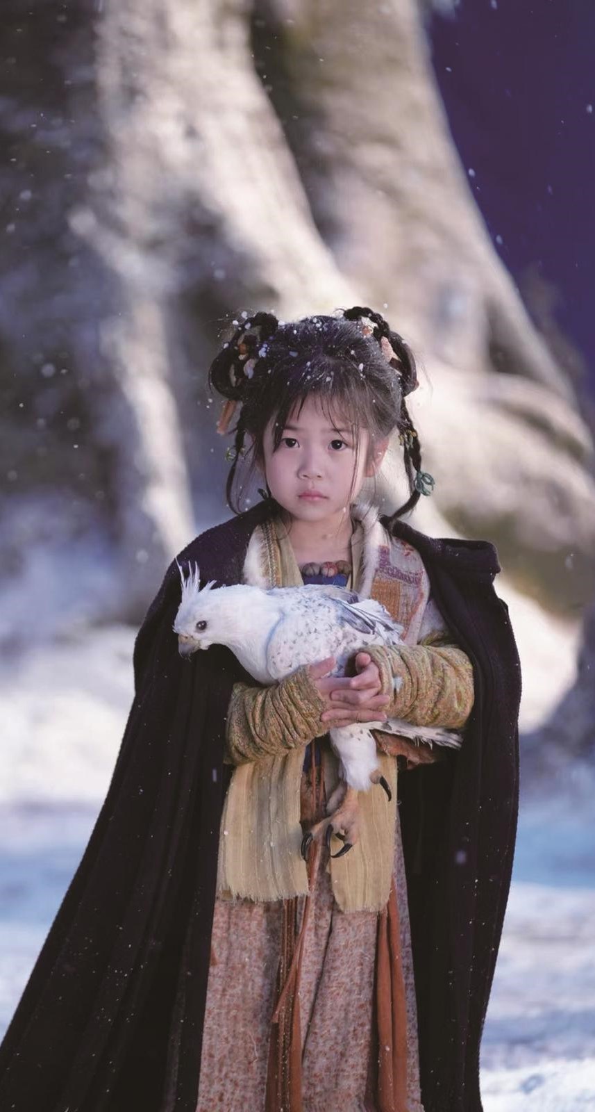 曹晏宁《逐玉》宁娘