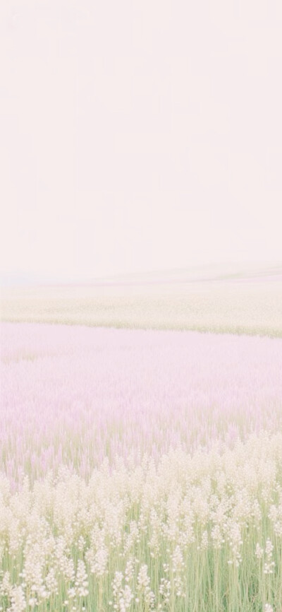 聊天