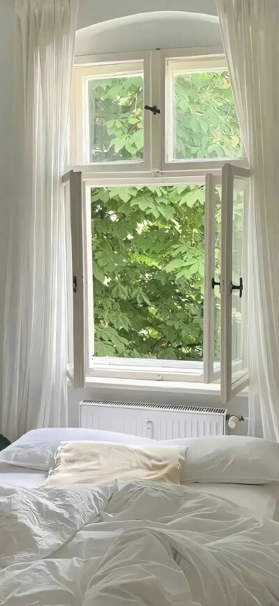 壁纸