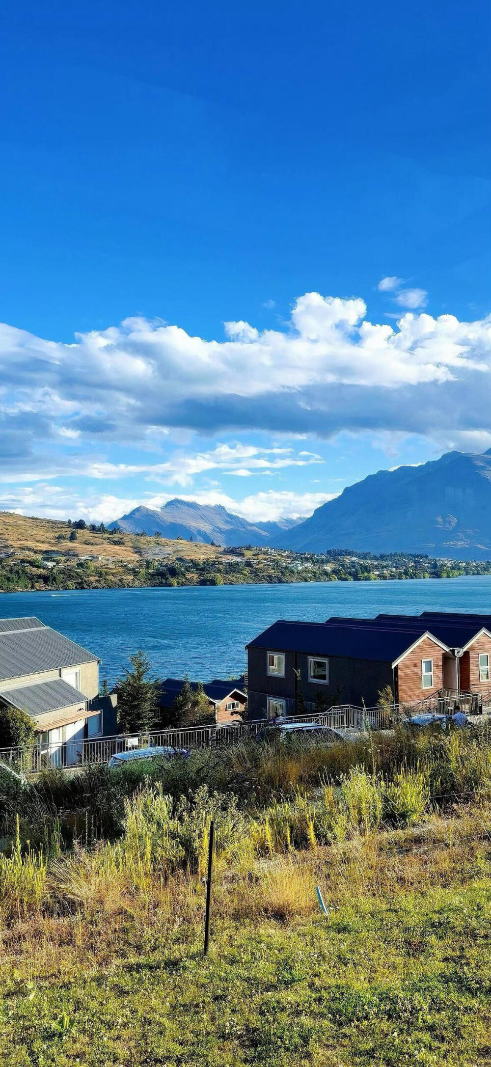 壁纸·图源微博