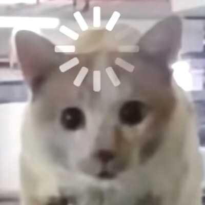 沙雕动物表情包