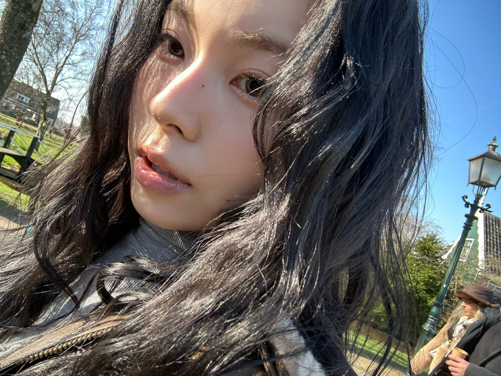 张圭真