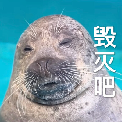 沙雕动物表情包