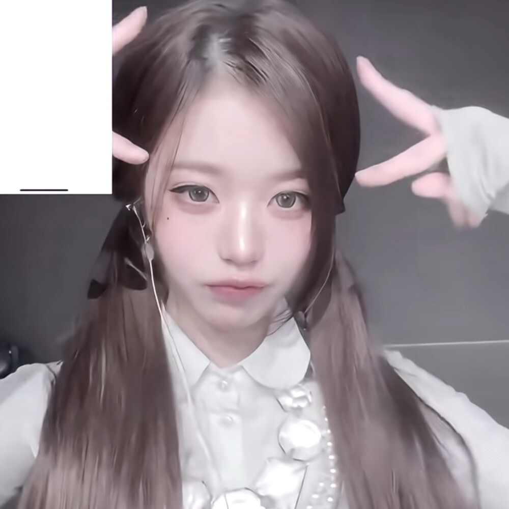 兔兔