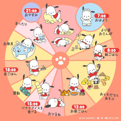 帕恰狗