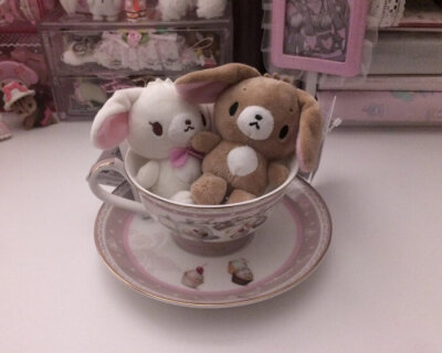 ฅ៸ᩙ⦁⩊<៸ᩙ ੭ﾞ