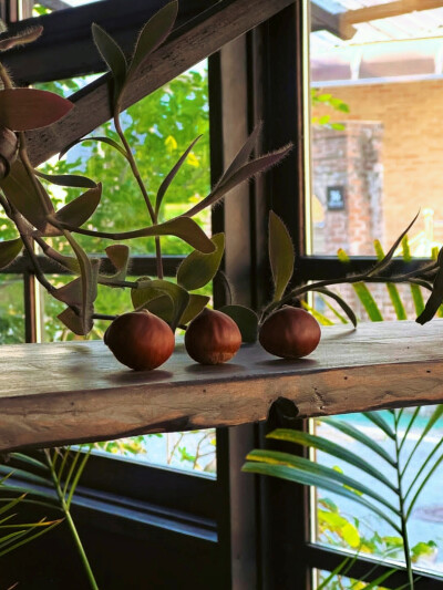 日常
在意，还是，不在意