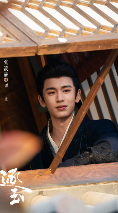 张凌赫《逐玉》谢征