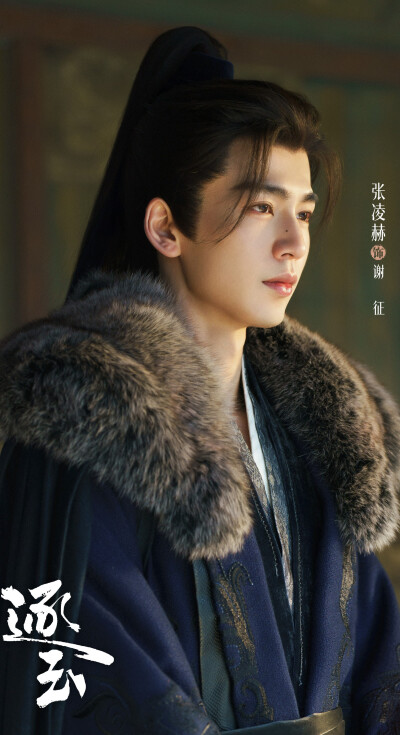 张凌赫《逐玉》谢征