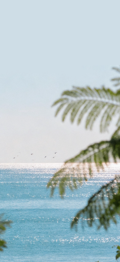 ▸ins壁纸
"慢慢翻阅生活的彩页"