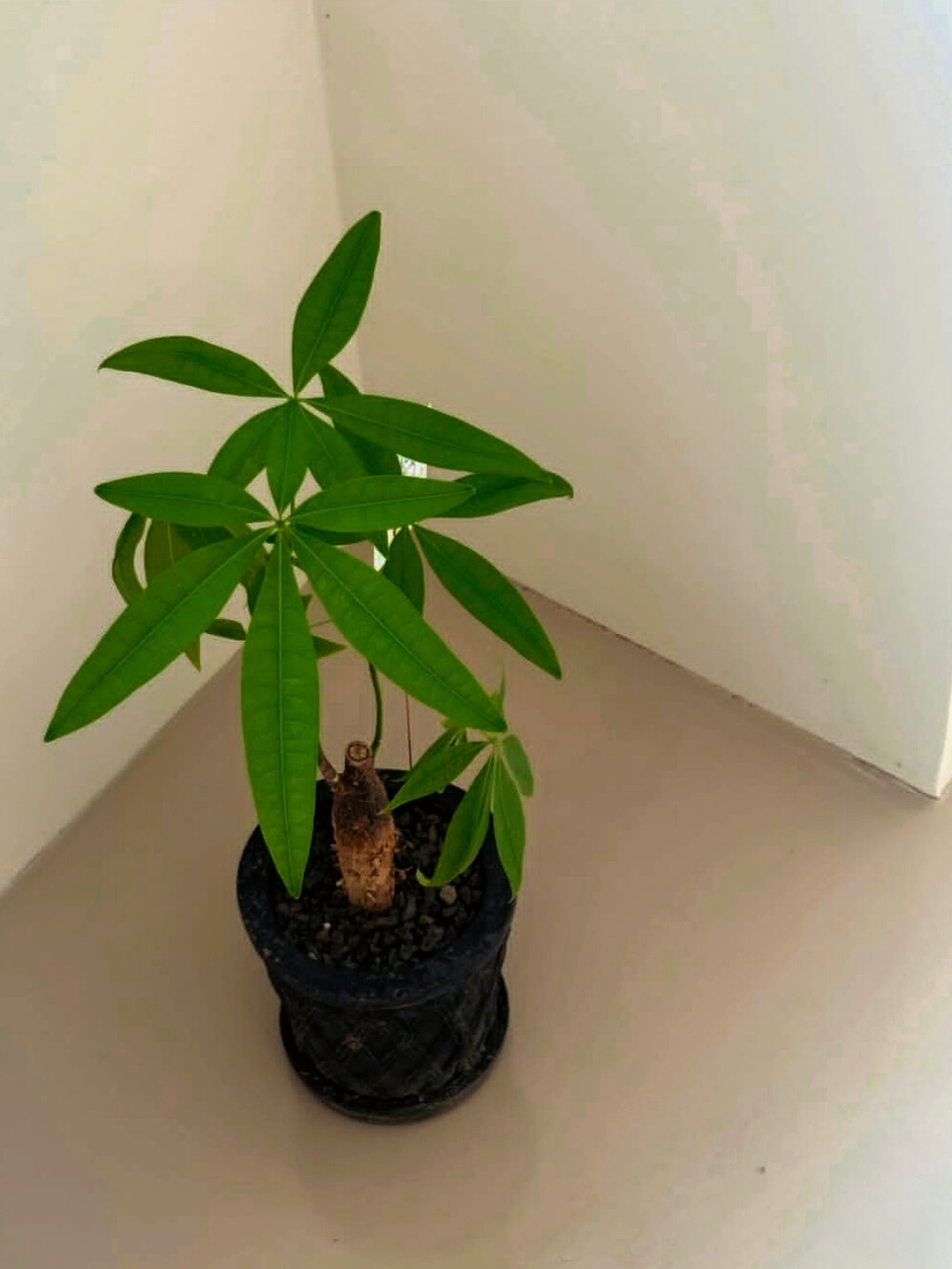 日常
在意，还是，不在意