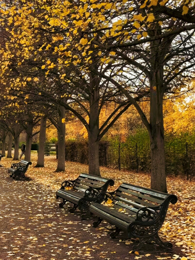 日常
在意，还是，不在意