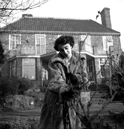 Elizabeth Taylor ​​​