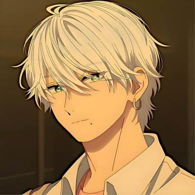 番剧：皎洁迎宵之月
角色：市村琥珀
动漫男头Δ