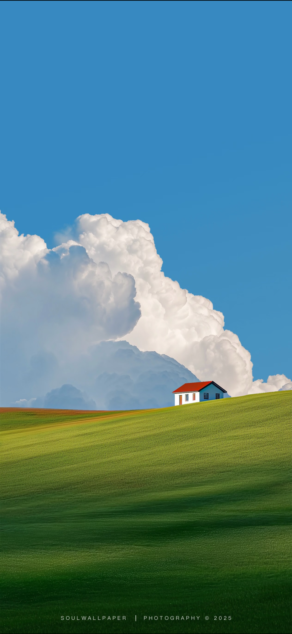 ▸ins壁纸
"去光亮照得进来的地方"