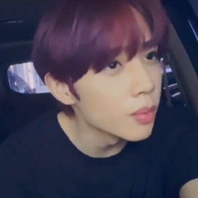 看我没主人都欺负我是流浪狗