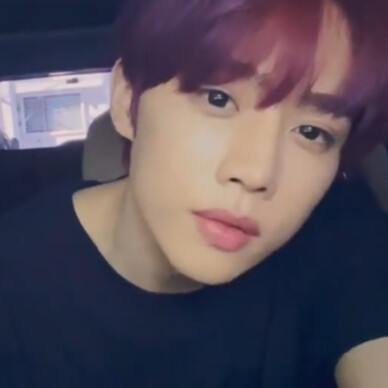 看我没主人都欺负我是流浪狗