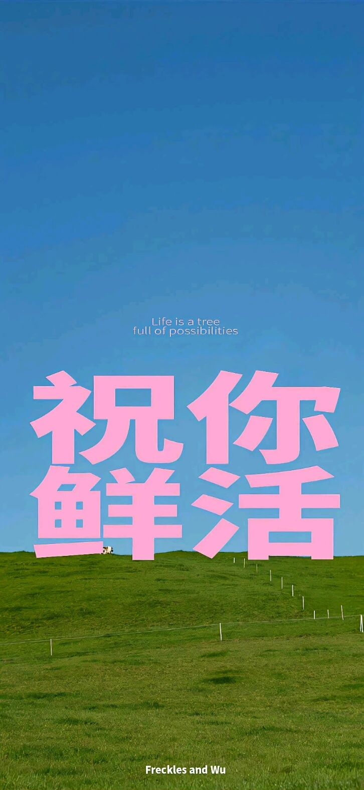 壁纸
