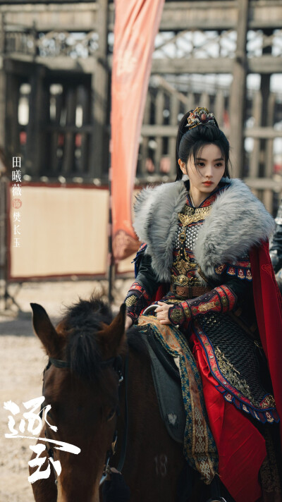 田曦薇《逐玉》樊长玉