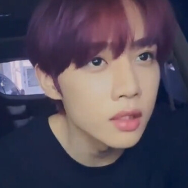 看我没主人都欺负我是流浪狗