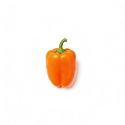 柿子彩椒白底头像