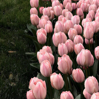 图源ks：偷喝汽水