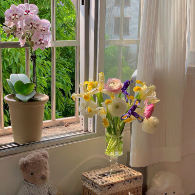 图源ks：偷喝汽水