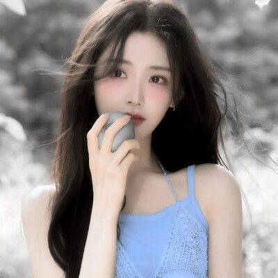 二改注明陈文嘉