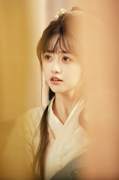 宋刀刀/宋望舒 破庙怀崽后，奸臣天天洗尿布 李十七