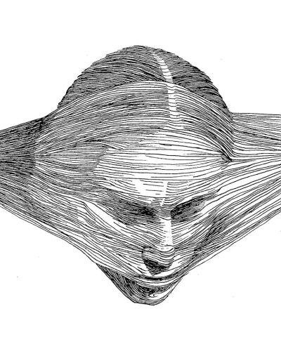 加拿大艺术家
Dominic Depeyre
多米尼克·德佩尔
用独特线条构成不寻常观感的画作
画中的内容是
用线条探索人之间的互动
只有黑色的墨水线
不同的方向和粗细，构成了立体效果
