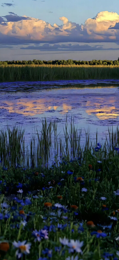 壁纸·图源微博