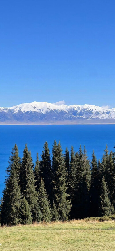 壁纸·图源微博