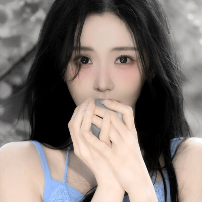 二改注明陈文嘉