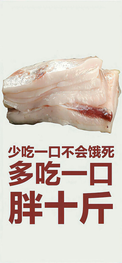 ˋˏˎˊ˗ ₂₀₂₆  神马都好
· 一期手机锁屏壁纸
壁纸推荐
套图壁纸
聊天背景
文字壁纸
