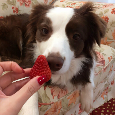 图源ks：偷喝汽水