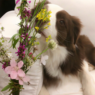 图源ks：偷喝汽水