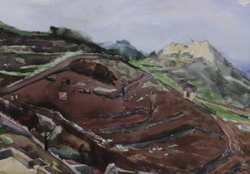 帕纳约蒂斯·特西斯出生于希腊，1937 年随家迁往比雷埃夫斯。他于 1949 年毕业于雅典美术学院，师从帕塞里斯等教授，之后于 1953–1956 年间获国家奖学金赴巴黎国立美术学院深造。回国后，他在 1948 年于 Romvos 画廊举办首次个展，并参与创建系列艺术团体，成为“Armos”艺术群体的创始成员之一，与艺术家们并肩推动希腊战后艺术发展。