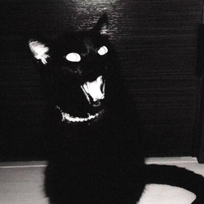 原来你也有一颗恶魔钉