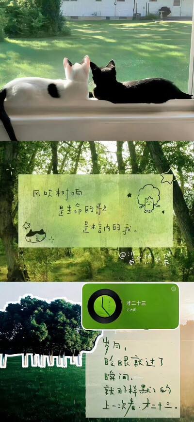 壁纸·图源微博。