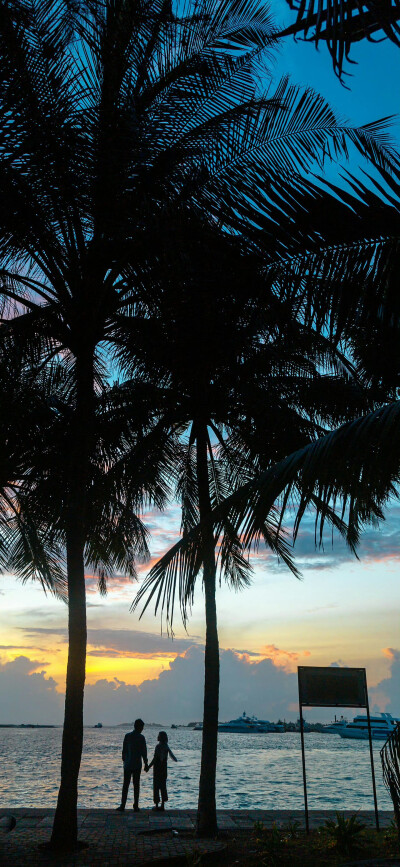 壁纸·图源微博